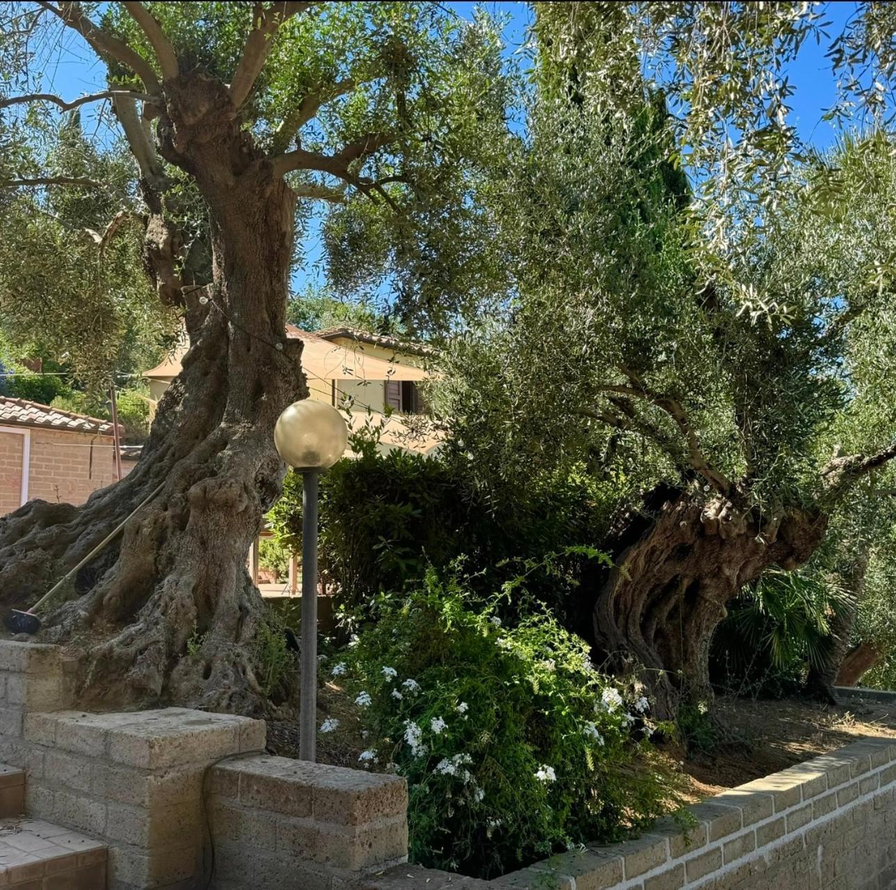 Madonna Del Poggio Cav Aparthotel Scarlino Eksteriør bilde
