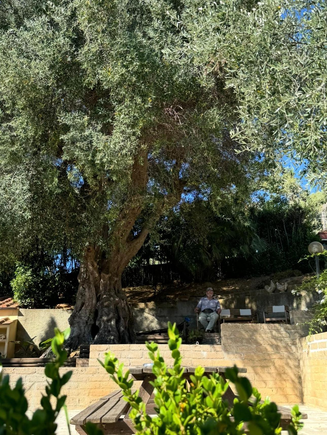 Madonna Del Poggio Cav Aparthotel Scarlino Eksteriør bilde